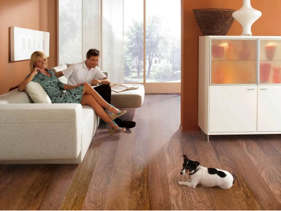 减到宝了！蘑菇视频免费看成人网站新春家装补贴火热进行中！ image