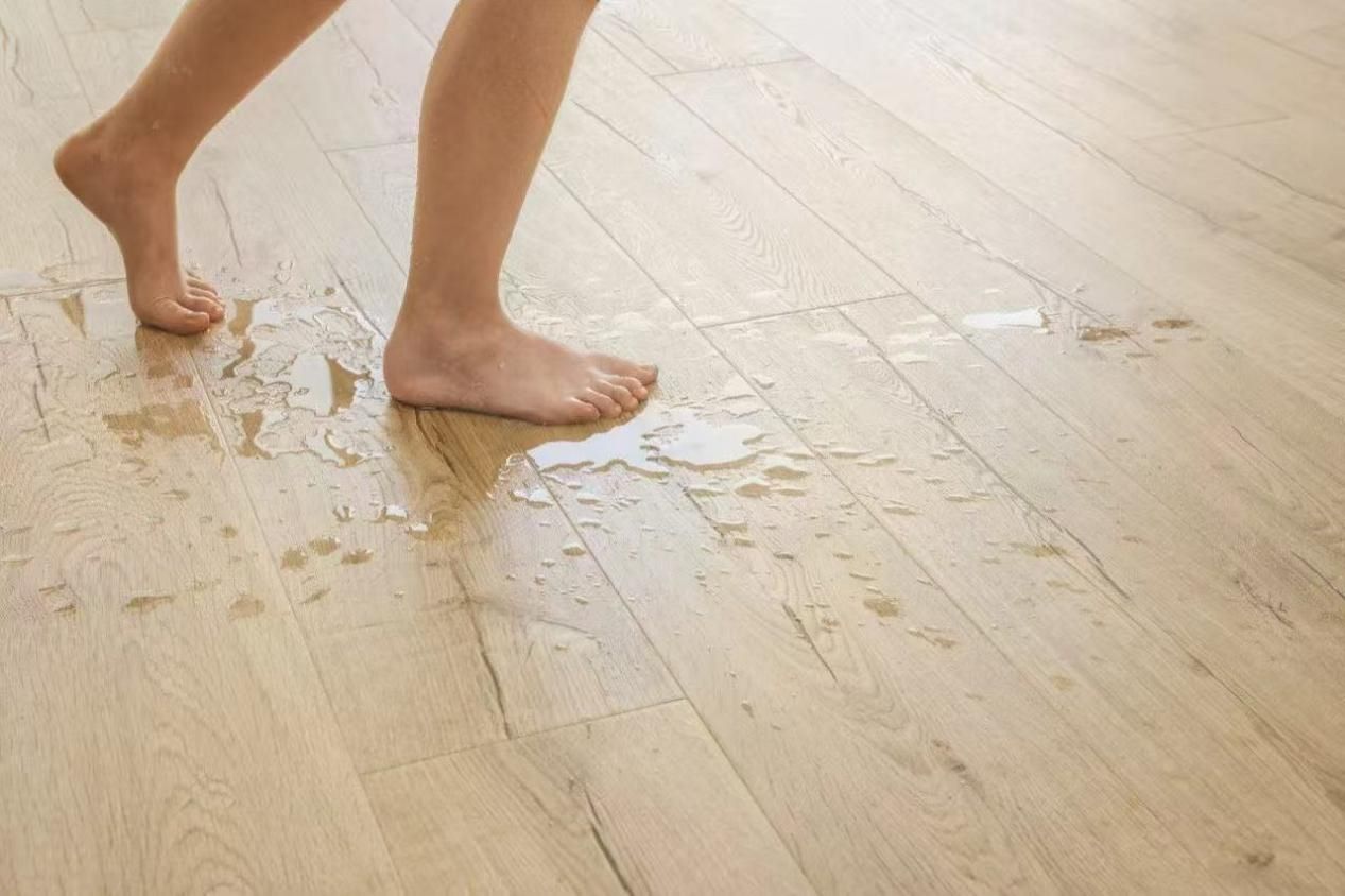 蘑菇视频免费看成人网站Quick-Step艺术木地板以自然为灵感，让生活成为艺术 图片1