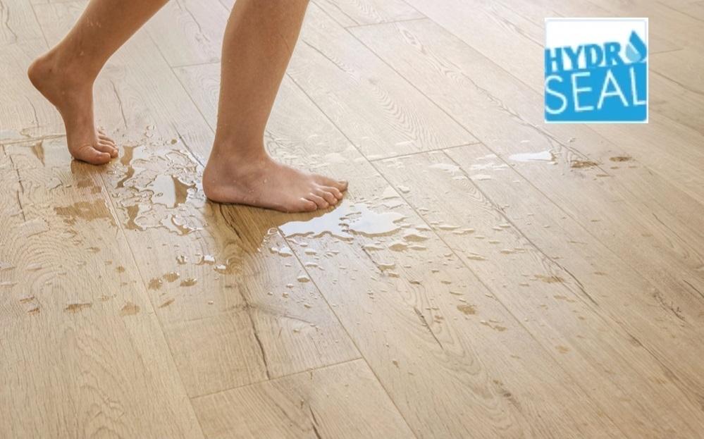 蘑菇视频免费看成人网站Quick-Step艺术木地板-----踏响生活的韵律 WPS图片(1) 蘑菇视频免费看成人网站Quick-Step艺术木地板-----踏响生活的韵律 WPS图片(1)