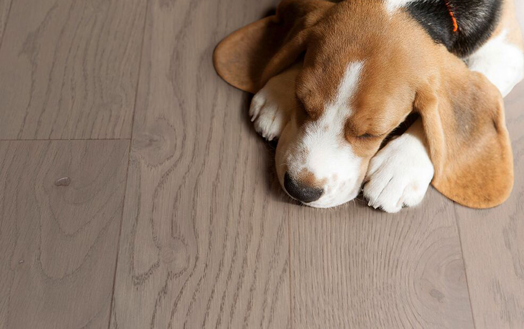 蘑菇视频免费看成人网站实木复合地板从“地”开始 图片24